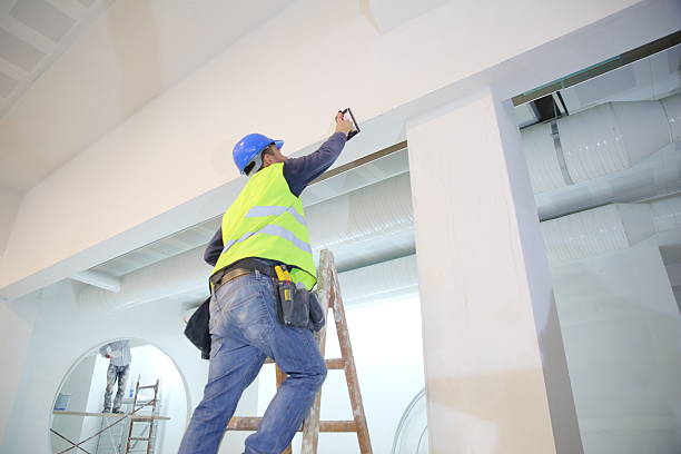 Best Ceiling Drywall Installation  in Adrian, MN