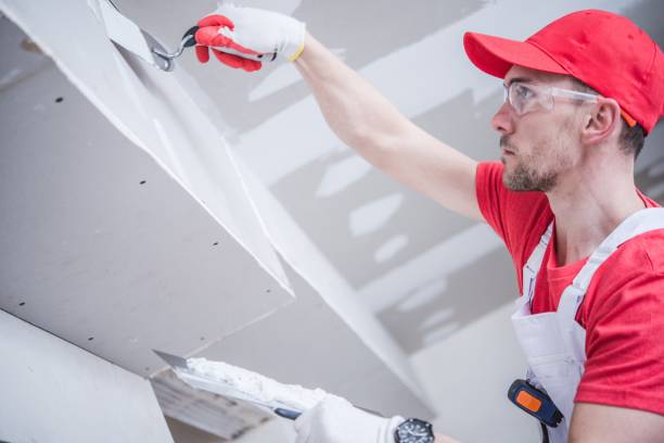 Best Drywall Installation  in Adrian, MN